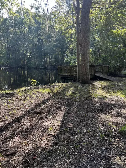 23210 Nutall Rise Rd, Lamont, FL 32336 photo 20