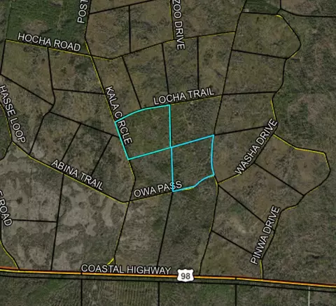 Nn Locha Trail, Crawfordville, FL 32327