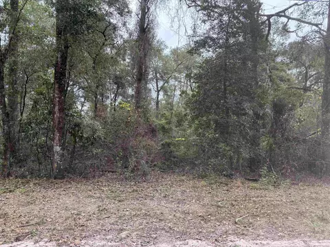 133 Rochelise Rd, Crawfordville, FL 32327