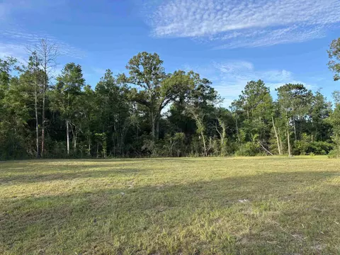 Nn Sellars Drive, Crawfordville, FL 32327