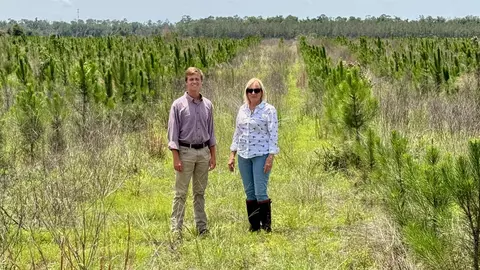 SW 86th Boulevard, Jasper, FL 32052 photo 12