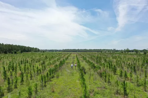 SW 86th Boulevard, Jasper, FL 32052 photo 2