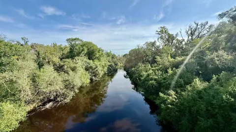 SW 86th Boulevard, Jasper, FL 32052 photo 9