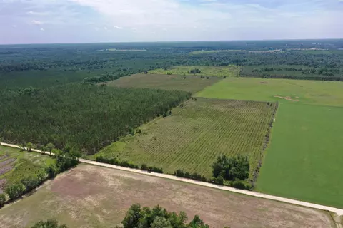 SW 86th Boulevard, Jasper, FL 32052 photo 5