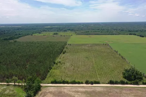 SW 86th Boulevard, Jasper, FL 32052 photo 6