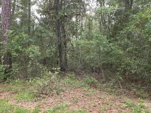 Nnn NE Shadow Lane, Hosford, FL 32334