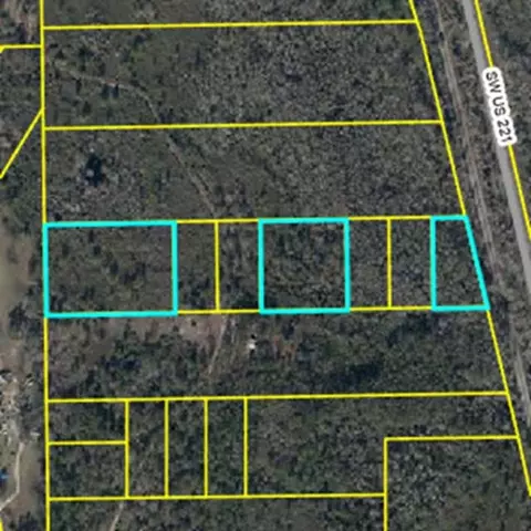 Vacant SW Wabasso Terrace, Greenville, FL 32331