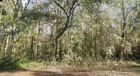 0 Moccasin Gap Rd, Tallahassee, FL 32309