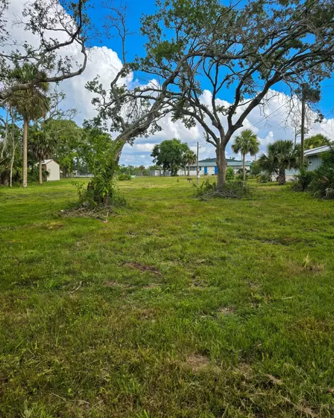 1111 NE Centra Ave, Steinhatchee, FL 32359 photo 2