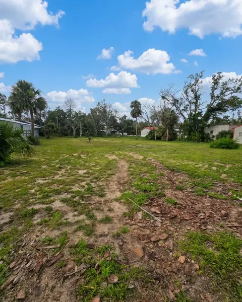 1111 NE Centra Ave, Steinhatchee, FL 32359 photo 3