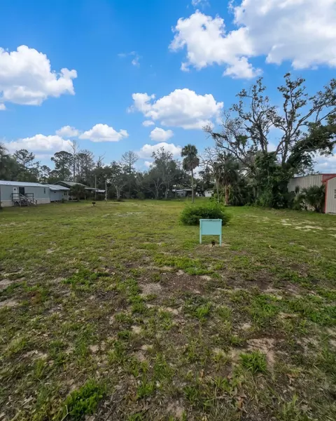 1111 NE Centra Ave, Steinhatchee, FL 32359 photo 4