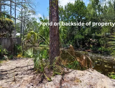 1111 NE Central Ave, Steinhatchee, FL 32359 photo 9