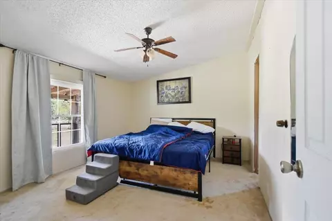 2538 Live Oak Rd, Perry, FL 32348 photo 5