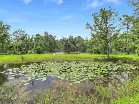 00 Beach Rd, Perry, FL 32348 photo 3