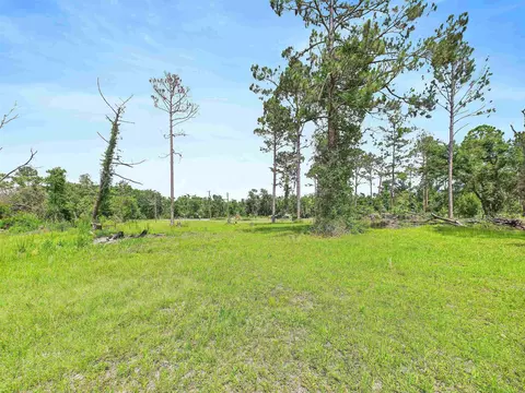 00 Beach Rd, Perry, FL 32348 photo 13