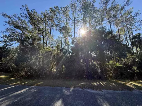 Nn Hobbs Way, Saint Marks, FL 32355