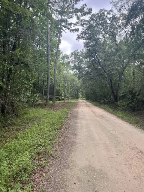 lot S 18 19 Owl Ln, Crawfordville, FL 32327