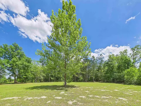 2150 Golf Course Rd, Perry, FL 32348 photo 42