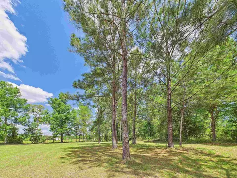 2150 Golf Course Rd, Perry, FL 32348 photo 40