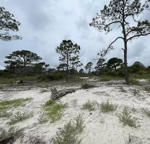 446 Bald Point Rd, Bald Point, FL 32346