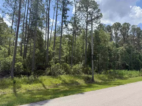 tbd S Salt Rd, Monticello, FL 32344