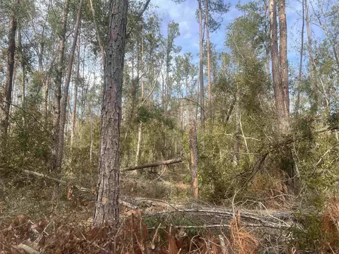 tbd 14th Trce, Live Oak, FL 32060