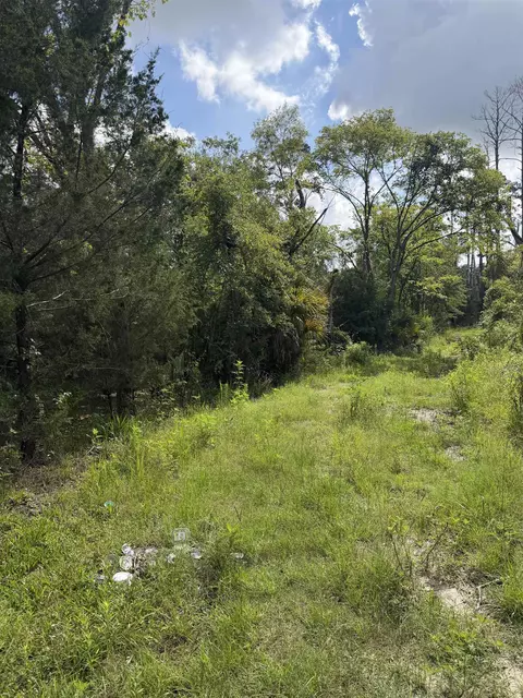 00 Cherry St, Perry, FL 32347 photo 10
