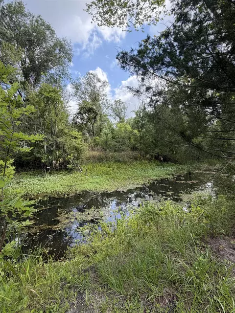 00 Cherry St, Perry, FL 32347 photo 11