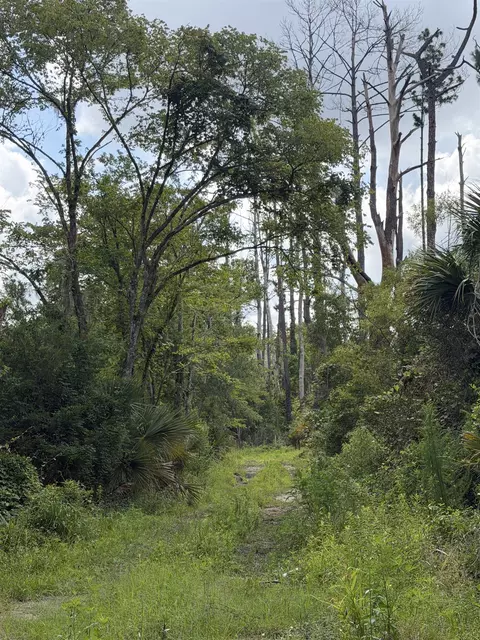 00 Calhoun St, Perry, FL 32348 photo 12