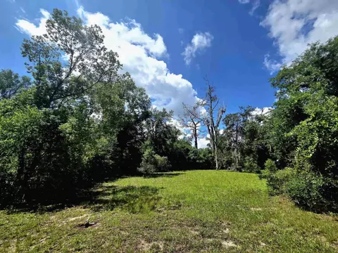 lot S 6-8 N Washington St, Perry, FL 32347 photo 9
