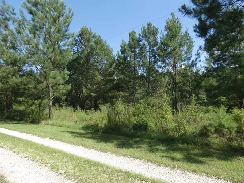 tbd Orchard Ln, Monticello, FL 32344