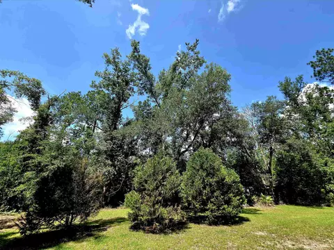 3445 Arrowhead Ln, Perry, FL 32347 photo 37
