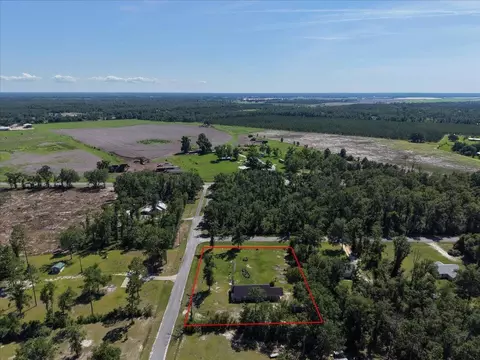 View/Area - 231 NE Green Tree Ter, Lee, FL 32059 photo 9 of 9
