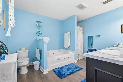 Bath - 231 NE Green Tree Ter, Lee, FL 32059 photo 3 of 6