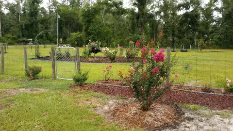 Exterior - 231 NE Green Tree Ter, Lee, FL 32059 photo 21 of 22