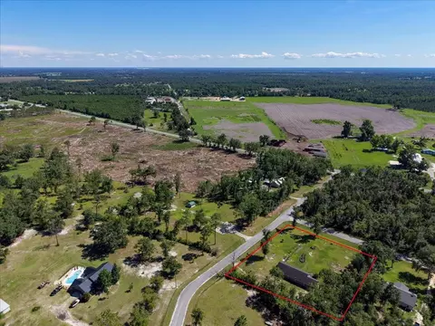 View/Area - 231 NE Green Tree Ter, Lee, FL 32059 photo 5 of 9