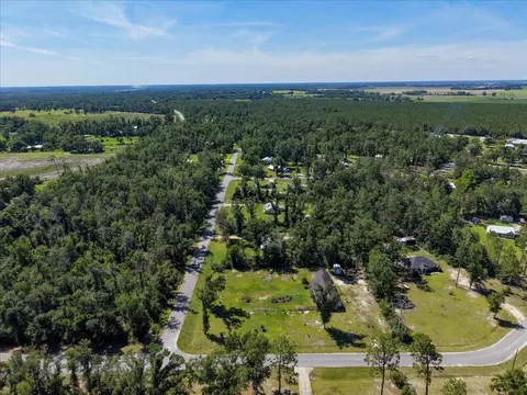 View/Area - 231 NE Green Tree Ter, Lee, FL 32059 photo 6 of 9