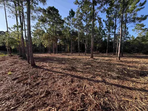 14 Acres Lilly Ave, Panacea, FL 32346 photo 4
