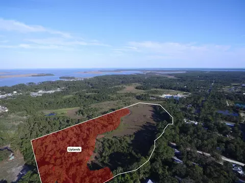 14 Acres Lilly Ave, Panacea, FL 32346 photo 2