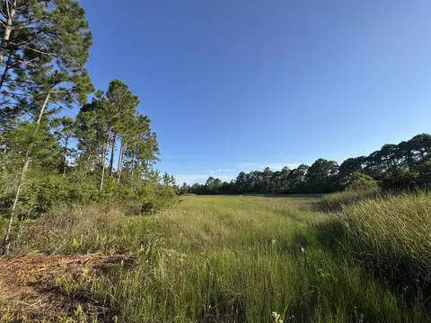 14 Acres Lilly Ave, Panacea, FL 32346 photo 5