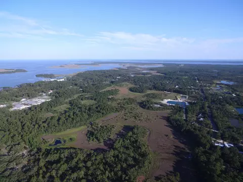 14 Acres Lilly Ave, Panacea, FL 32346 photo 11