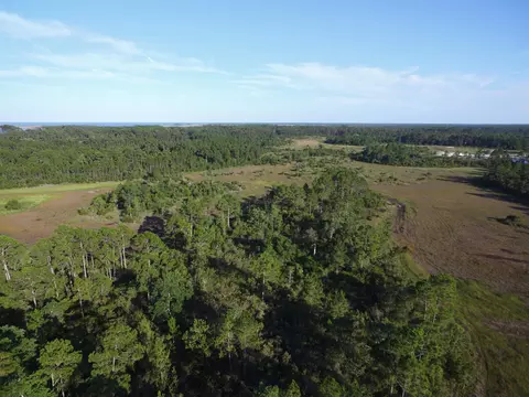 14 Acres Lilly Ave, Panacea, FL 32346 photo 8