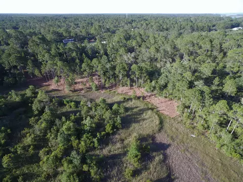 14 Acres Lilly Ave, Panacea, FL 32346 photo 12