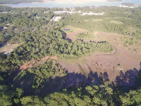 14 Acres Lilly Ave, Panacea, FL 32346 photo 3
