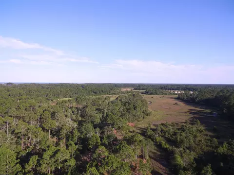 14 Acres Lilly Ave, Panacea, FL 32346 photo 6