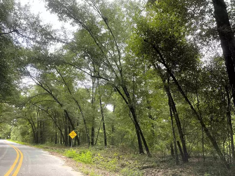 497 Mcphaul Rd, Chattahoochee, FL 32324