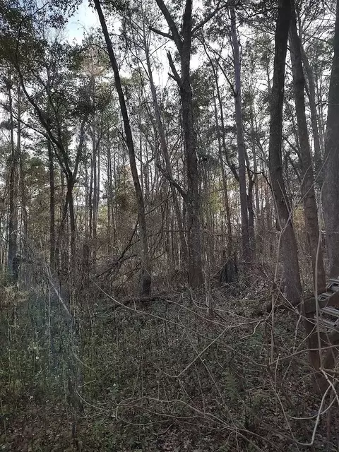 0 Any Old Way, Tallahassee, FL 32309