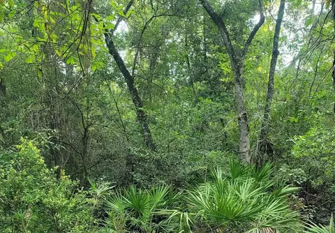 0 Sioux Trl #1, Crawfordville, FL 32327
