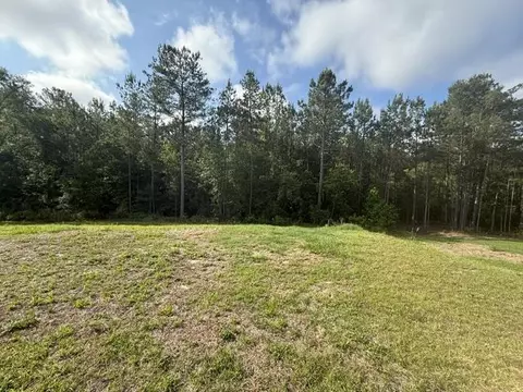 Exterior - 407 Mae Cato Dr, Midway, FL 32343 photo 4 of 4