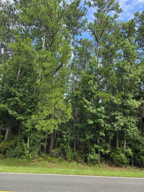 Nnn NW Cr 333, Bristol, FL 32321